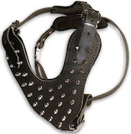 Leather spiked dog harness -custom deluxe dog harness Leather spiked dog harness -custom deluxe dog harness