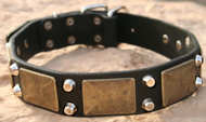Gorgeous War Dog Leather Dog Collar-brass massive+2 pyramids C85