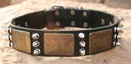 Spiked Leather Dog Collar with massive bras plates+3 spikes C84