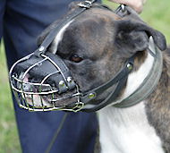 Wire Basket Dog Muzzles for all dogs