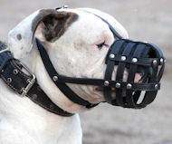 Everyday Light Weight Ventilation muzzle- leather dog muzzle Everyday Light Weight Ventilation muzzle- leather dog muzzle