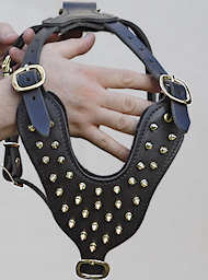 Brass leather spiked dog harness-best padded spiked harness Brass leather spiked dog harness-best padded spiked harness