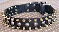 3 Rows with brass Leather Spikes and Studded Dog Collar S57