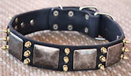 Gorgeous War Leather Dog Collar-massive plates+brass3 spike C87