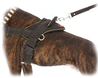 Non Pull Dog Harness-Stop Your DOG Pulling