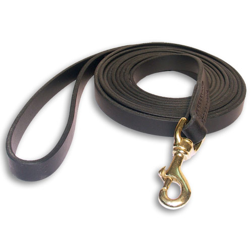 Leather dog leash for tracking  - 6 FOOT