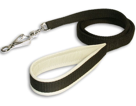 FT 6 Nylon dog Leash with padded handle
