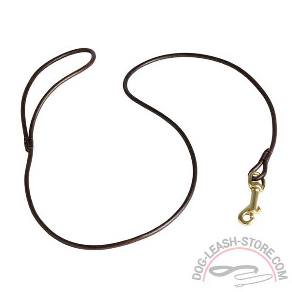 Leather Dog Lead 6mm Width