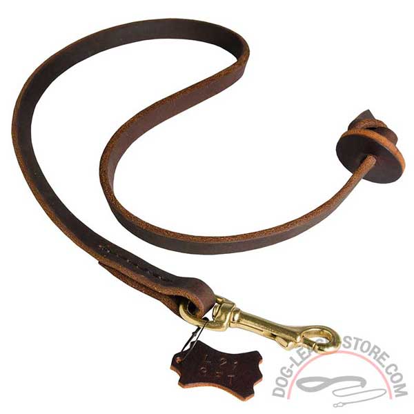 Leather Dog Lead Best Control
