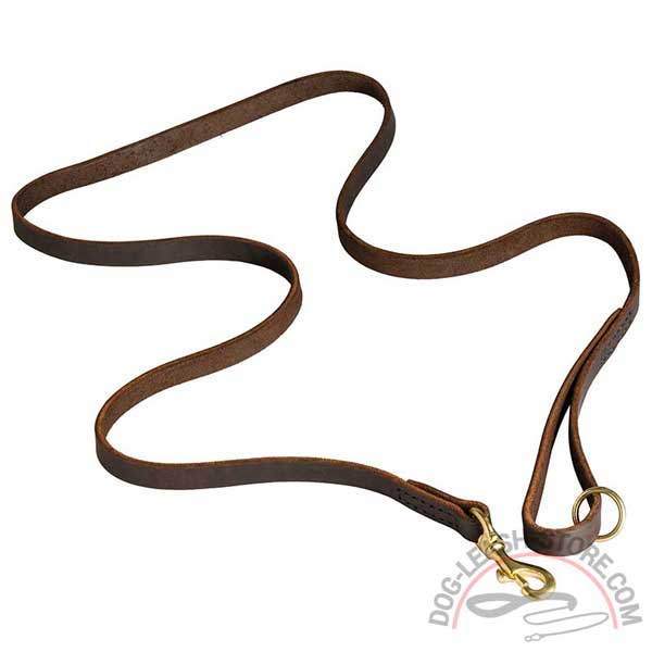 Comfortable Leather Dog Leash Daily Walking