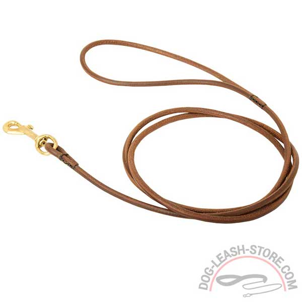 Lightweight Leather Dog Leash for Shows