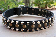 3 Rows Leather Dog Collar & Pyramids &Studs - great dog collar