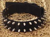 Black Nylon Spiked Dog Collar- 2 Rows of spikes for all dogs