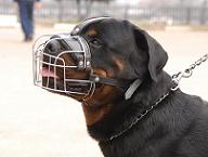 Wire Basket dog muzzle Wire Basket dog muzzle
