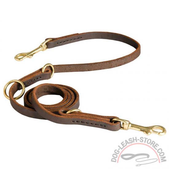 1pc All-in-one Dog Leash, Competition Level Training Leather