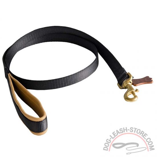 dog leash with cushioned handle