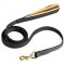 Strong Nappa Padded Leather Dog Leash