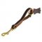 Easy Grab Leather Dog Leash