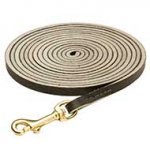 Training, Tracking Leather Dog Lead For Your Active Pet