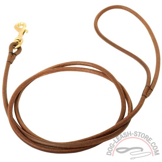 Elegant Leather Dog Leash for Dog Shows