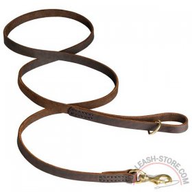 Carefully Stitched Leather Dog Leash