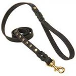 Studded Leather Dog Leash For Walking And Tracking