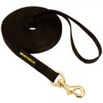 Durable Nylon Dog Leash for Training and Tracking
