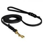 Gorgeous Leather Dog Leash