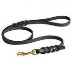 Leather Dog Leash for Walking and Tracking