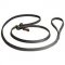 Behaviour Correction Leather Dog Leash
