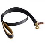 Reliable Nylon Dog Leash with Leather Padded Handle