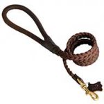 Braided Leather Dog Leash with Round Handle