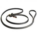 Behaviour Correction Leather Dog Leash