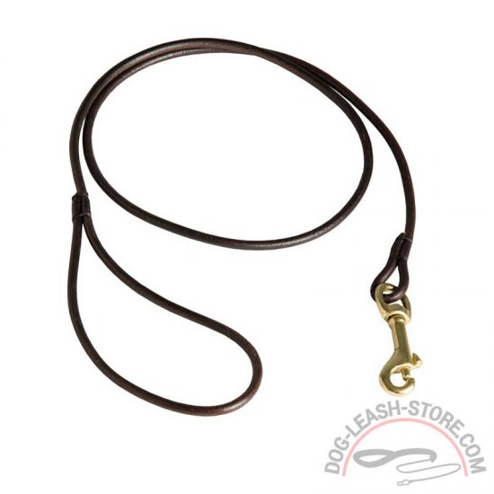 Special Handcrafted Round Leather Dog Leash