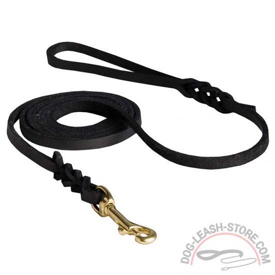 Gorgeous Leather Dog Leash