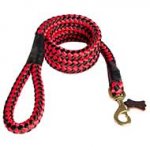 Cord Nylon Dog Leash for Any Weather Activities