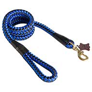 Simple Nylon Cord Dog Leash