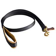 Reliable Nylon Dog Leash with Leather Padded Handle Reliable Nylon Dog Leash with Leather Padded Handle