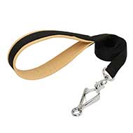Practicable Nylon Dog Leash for Everyday Activity Practicable Nylon Dog Leash for Everyday Activity