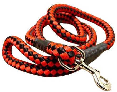5 foot Round Nylon Leash With Brass Snap for walking dogs