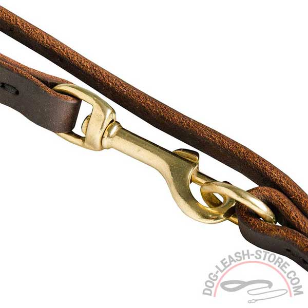 Snap Brass Hook of Dog Leash