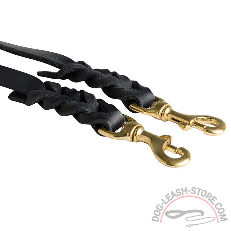 Buy Braided Leather Dog Coupler | Two Dogs Walking