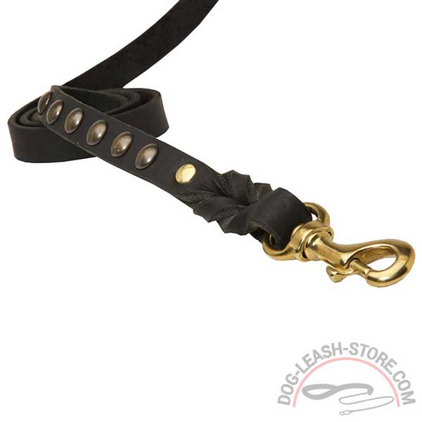 Six Brass Decorative Studs of Leather Dog Leash