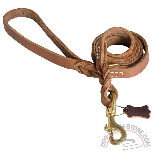 Leather Decorated Dog Lead Braids