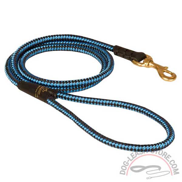 Nylon Cord Dog Leash Blue
