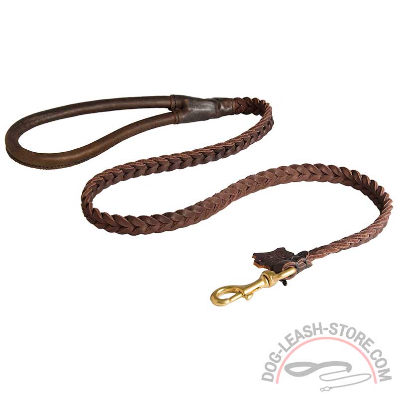 braided leather dog lead