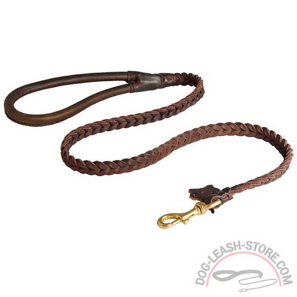 Leather Dog Lead Braided