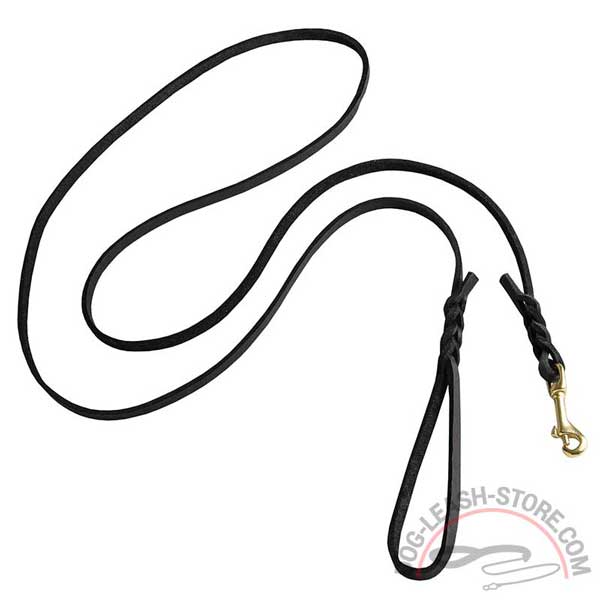 Braided Leather Dog Leash