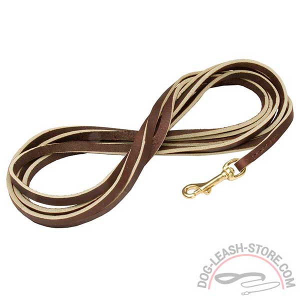 Brown Leather Dog Leash