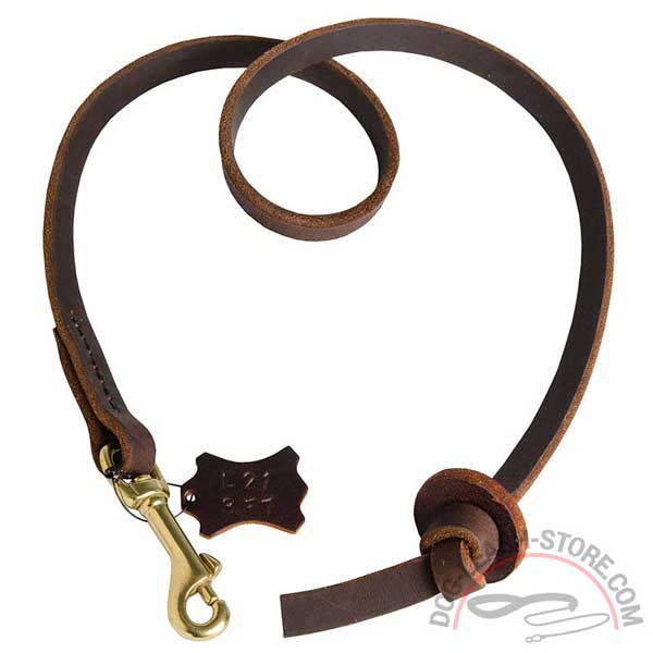 Leather Dog Lead Handling